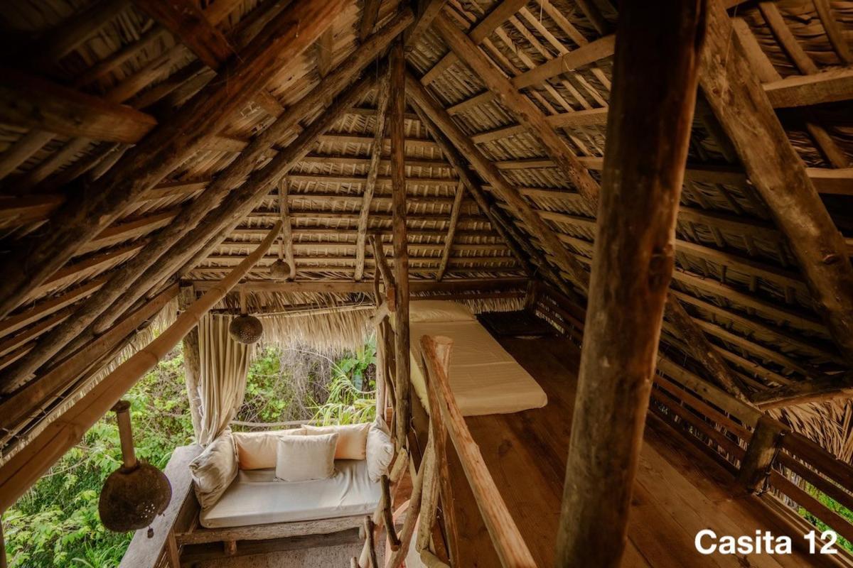 Ecolodge Tubagua Puerto Plata 外观 照片