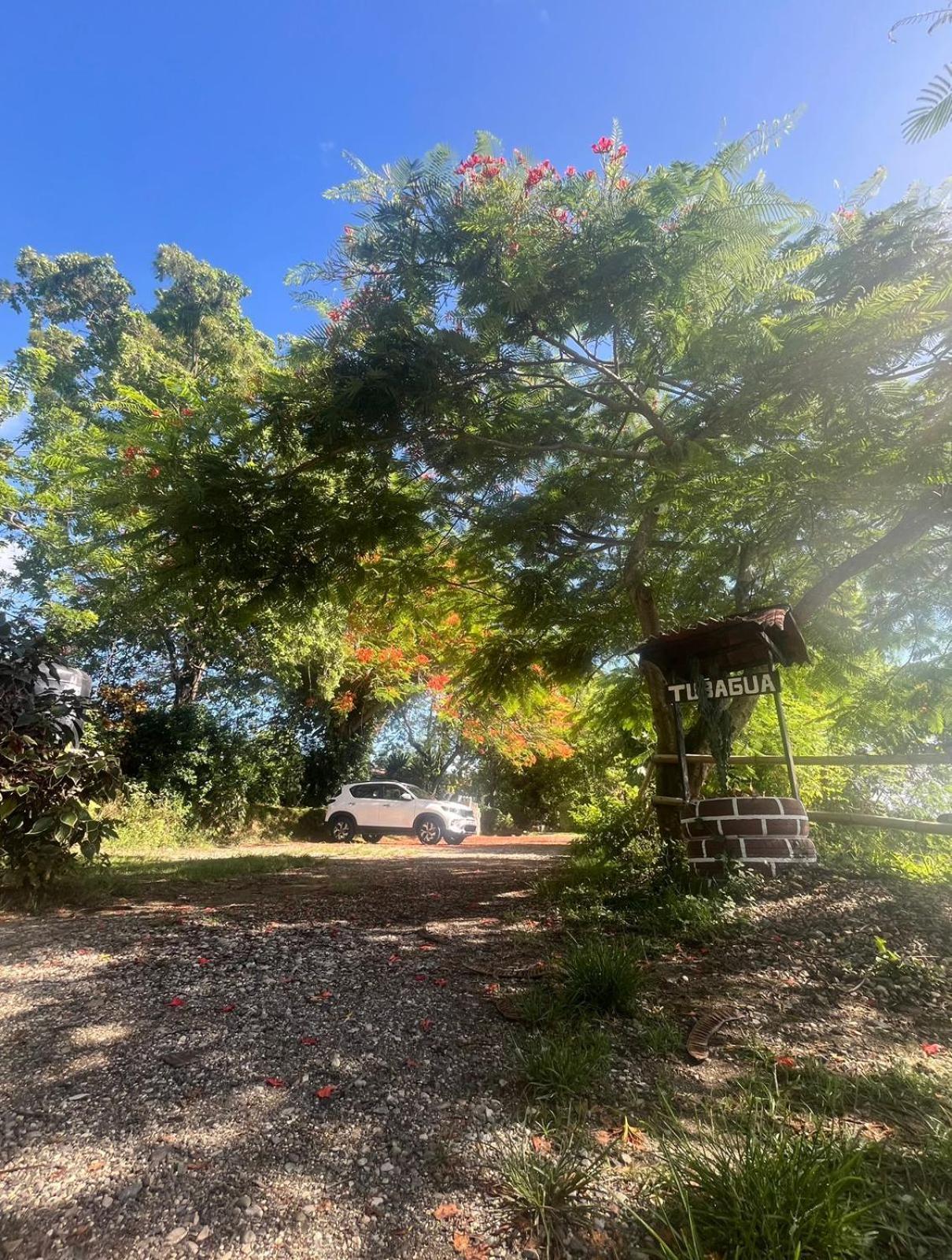 Ecolodge Tubagua Puerto Plata 外观 照片