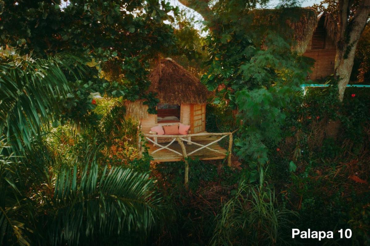 Ecolodge Tubagua Puerto Plata 外观 照片